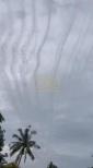 Main image for Royal Cambodian Army Fires 122mm Artillery Rockets Amid Escalating Border Tensions.
