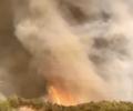 Main image for Fire Tornado Erupts in Turkey as Firefighters Battle Wildfire. 