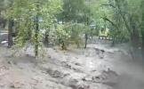 Main image for Flash Floods Rip Through New Mexico, Topple Fence in Seconds.