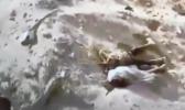 Main image for Failed Hamas Kidnapping Attempt in Khan Younis Caught on Camera. 