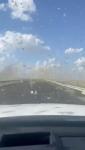 Main image for Massive Locust Swarm Darkens Skies in Dagestan, Russia