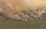 Main image for Drone Footage Reveals Devastating Wildfires in Turkey's Bursa Province