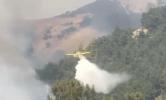 Air Crews Battle Wildfires Raging in Northwest Turkey.