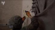 Main image for IDF Demolishes Hebron Home of Hamas Member.