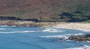 Main image for Police Chase Smugglers on Cornish Beach Shore.