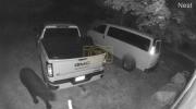 Main image for Bear Caught Snatches in Seed in Truck. 