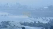 Main image for Typhoon Podul Slams Taiwan, Shuts Down South.
