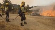 Main image for Spain's Canalejas Wildfire Claims Lives.