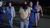 Main image for Illegal Trucker Landed in Florida. 