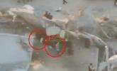 Main image for IDF Airstrike Stops Hamas Ambush Near Aid Convoy.