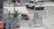 Main image for Ghost Town: Yesterday's Times Square Bomb Scare.