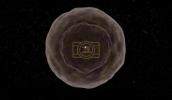 Main image for Scientists Capture Rare View Inside Exploding Star.