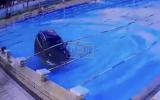 Main image for Car Crashes Through Wall and Lands in Pool.