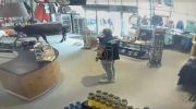 Main image for Bizarre Scene as Cow Strolls Into Sports Store. 😲😱