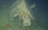 Main image for Divers Explore 100-Year-Old WW1 Submarine Wreck.