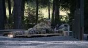 Main image for U.S. Soldiers Test Skills in German Shooting Contest.