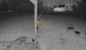 Main image for Mysterious Flash and Boom Shakes New Jersey Town.