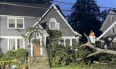 Massive Tree Falls in New Jersey Storm.