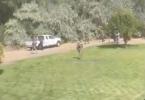 Main image for Police Check Neighborhood After Kirk Assassination.