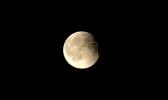 Main image for Crowds Gather to Witness Rare 'Blood Moon' Eclipse.