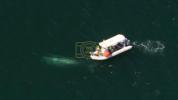 Whale Rescue Becomes Toughest Mission Of Season.