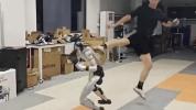 Main image for China's Humanoid Robot Shows Off Combat Skills.