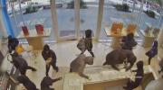 Main image for 20 Masked Mob Raids California Jewelry Store. 