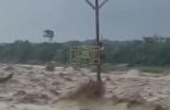 Main image for Man Rescued After Hours In Deadly India Floods.