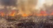 Main image for Namibia Deploys Army To Fight Massive Park Fire.