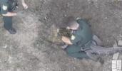 Main image for Florida Deputies Subdue Alligator After It Attempts Death Roll Near Home. 