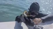 Main image for $1 Million In Lost Spanish Treasure Found Off Florida Coast.