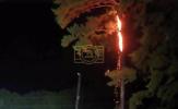 Main image for Lightning Strike Turns Tree Into Fire. 