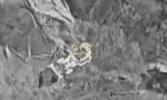 Main image for Israel Airstrike Kills Hezbollah Operative In Lebanon.