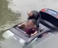 Main image for A Hero In China Jumps Into River To Save Trapped Driver.