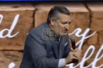 Main image for GOP Sen. Cruz: U.S. Gains Billions in Security Value from Israel Partnership.