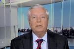 Main image for Sen. Graham Warns Peace Impossible in Middle East Until Hamas Destroyed.