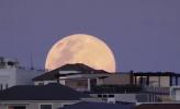 Main image for The Brightest Supermoon of 2025 Lights Up Skies Around the World.