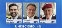 Main image for RECORD TURNOUT: Massive Early Votes Over 735,000 Ballots Cast in Heated NYC Mayoral Race.