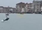 Main image for Dolphin &ldquo;Mimmo" Delights Tourists in Busy Venice Canals.