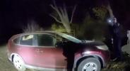 Main image for Bear Destroys Car 's Inside After Getting Trapped Inside Vehicle.