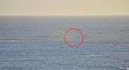 Main image for Australian Windsurfer Miraculously Escapes Shark Attack.