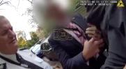 Main image for Irony in Action: Suspected Thief Runs Into Chief Constable's Path and Immediately Arrested.