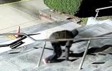 Main image for Police Hunt Suspect Who Stole $8,000 in Brass Railings.