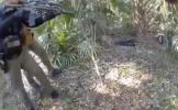 Main image for Florida Man Found Alive After Fleeing Deputies Into Swamp.