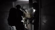 Main image for IDF Nahal Brigade Clears Tunnels Along Rafah Yellow Line.