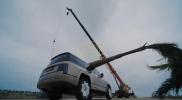 Main image for BYD Withstands Two-Ton Palm Trunk Drop Test.