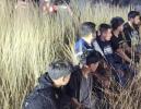 Main image for Texas DPS Arrests Driver With 23 Illegal Immigrants in Truck.