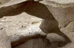Main image for Frozen Sand Sculptures Appear Along Lake Michigan Shore.