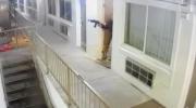 Main image for Colorado Officer Fires After Suspect Points BB Rifle.