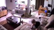 Main image for 6.0 Alaska Earthquake Startles Child and Shakes Homes.